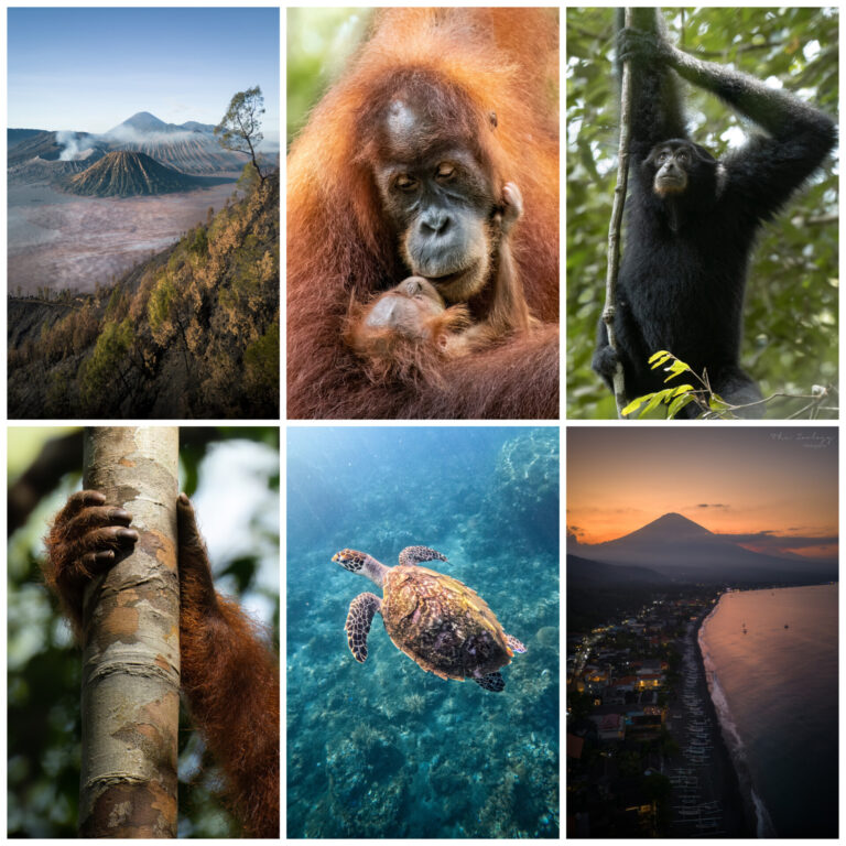 Wildlife and Nature Photography Inspiration to Visit Indonesia