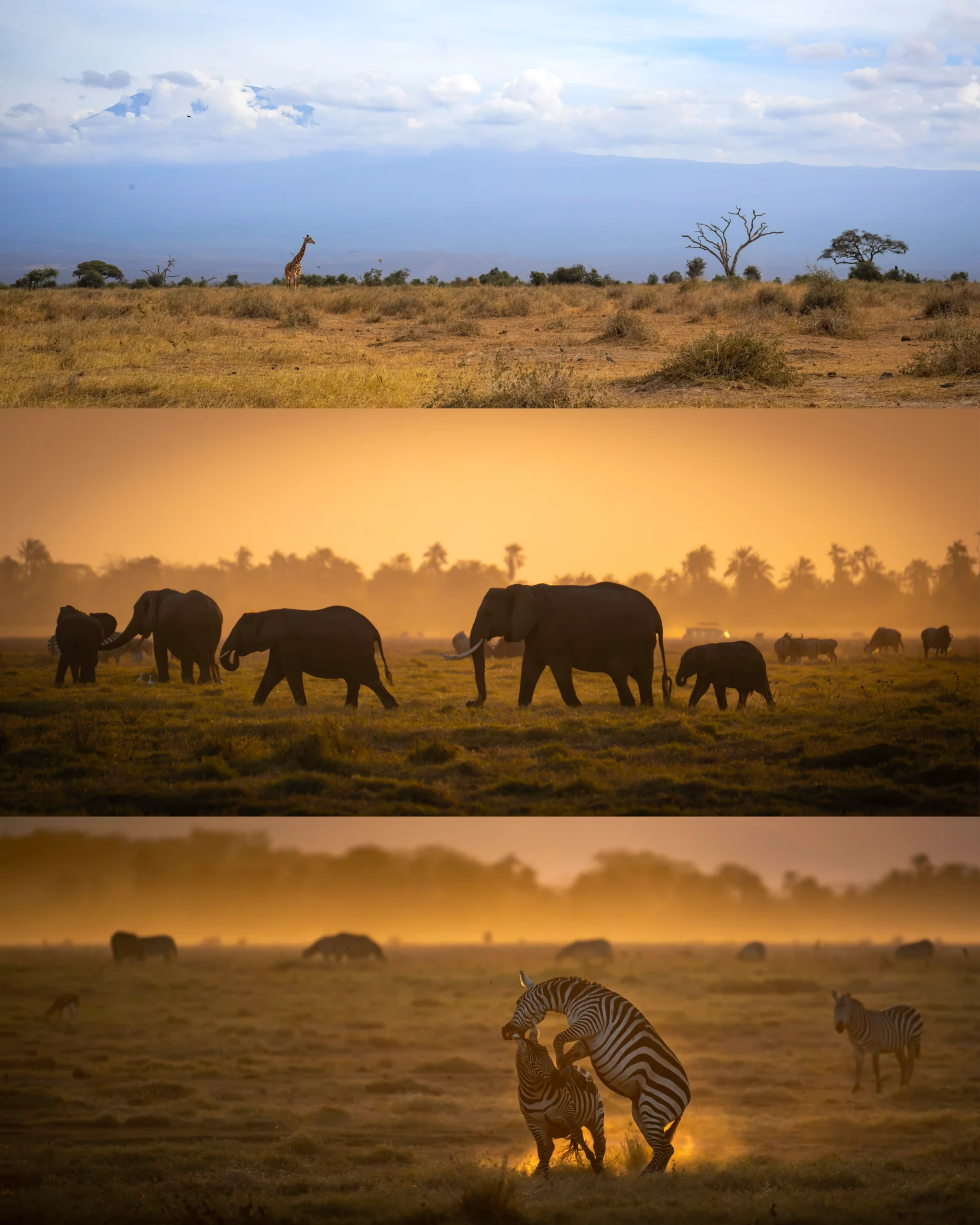 Amboseli_National_Park_Split