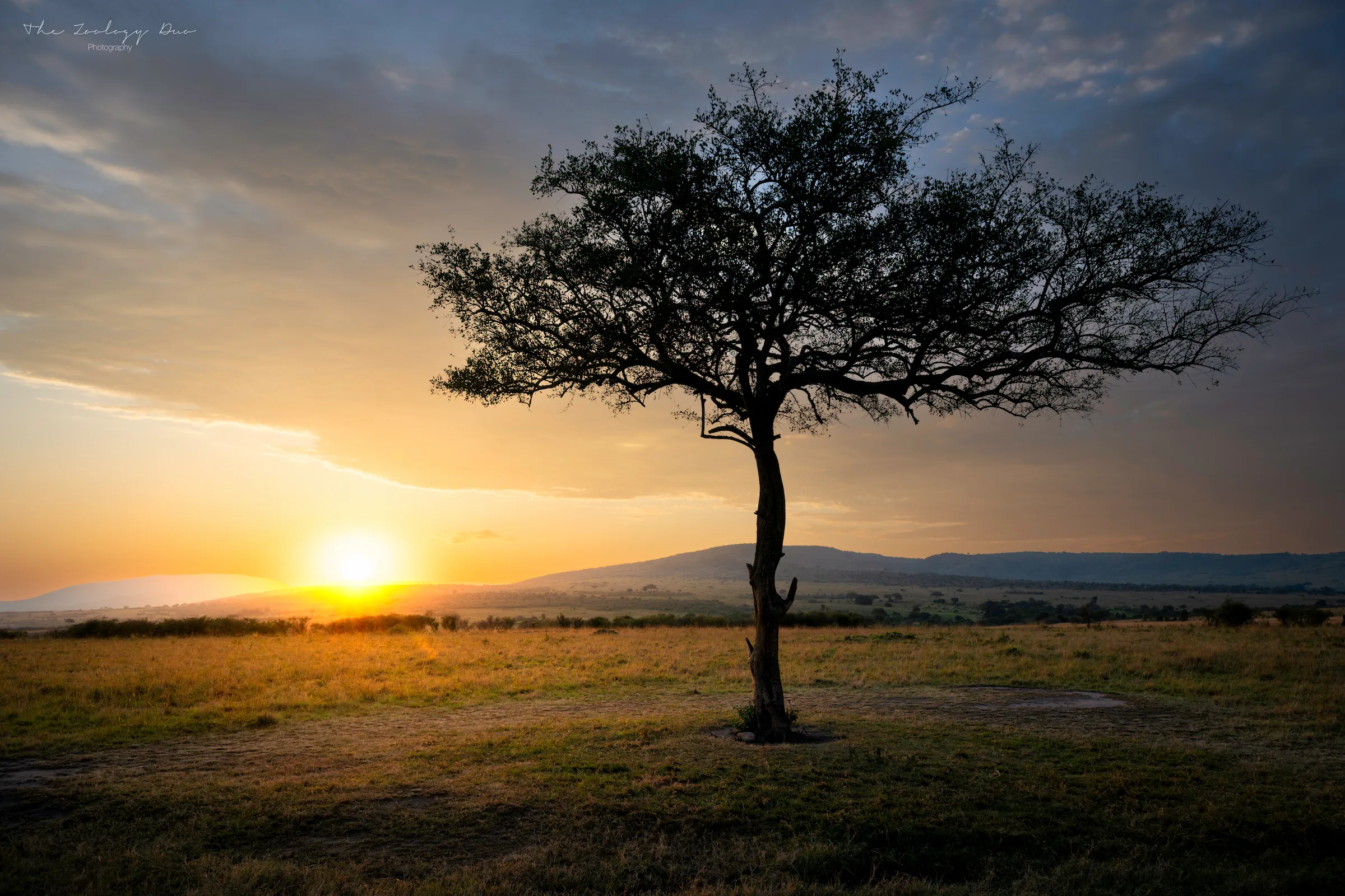 Kenya Wildlife Photography | The Wildlife Travel Blog Sunrise over the savannah in the Maasai Mara National Reserve, Kenya.