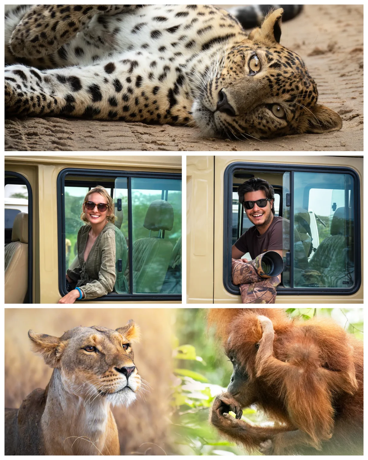 The Wildlife Travel Blog - Wildlife Photography Collage