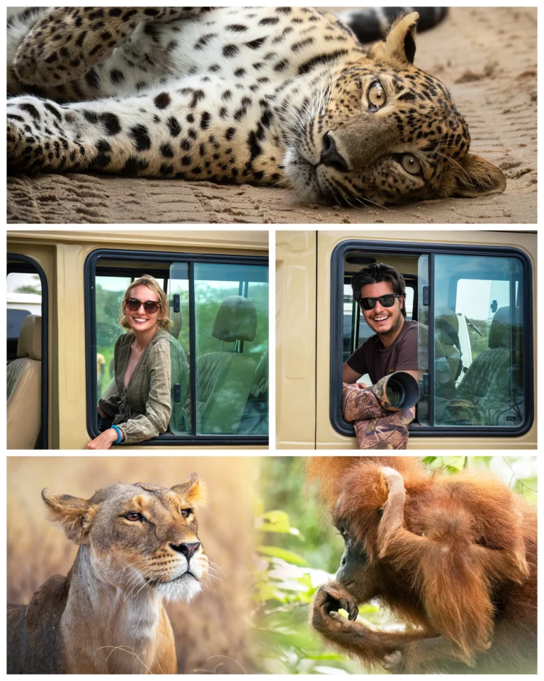 Home | The Wildlife Travel Blog The Wildlife Travel Blog - Wildlife Photography Collage